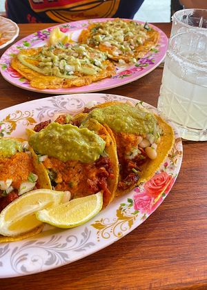  #Veganuary at Tijuana Tacos in Nunoa