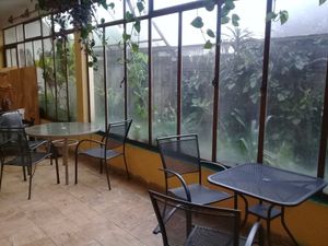 Área de servicio. Los gatos no salieron en la foto, pero por ahí andan. at 9 ó 6 Comida Vegana. in Puebla