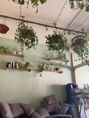   at 9 ó 6 Comida Vegana. in Puebla