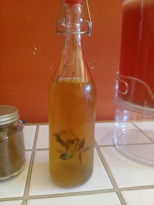 Kombucha incluída en el buffet at 9 ó 6 Comida Vegana. in Puebla