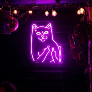  at The Black Cat in Falmouth