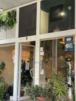   at Gat Bar in Montgat