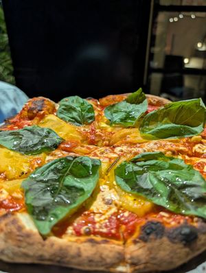  at Alakazam in Mexico City