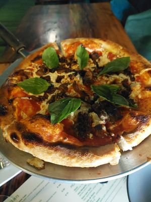  at Alakazam in Mexico City