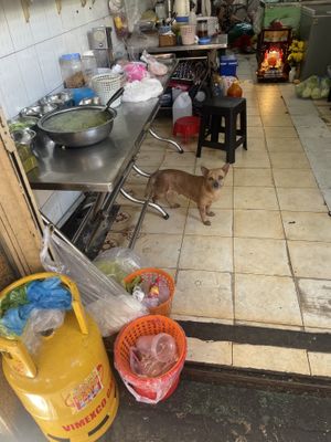   at Diệu Anh in Ho Chi Minh City