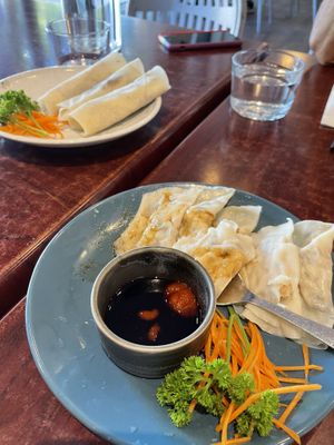 Steamed dumplings and duck rolls  at Au Lac Royal Vegan Cuisine in Dickson