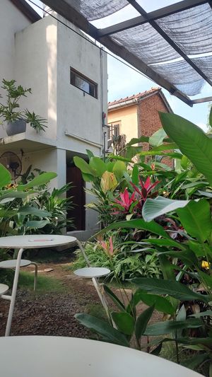 The ambience 🌱 at Bunch in Hiriketiya