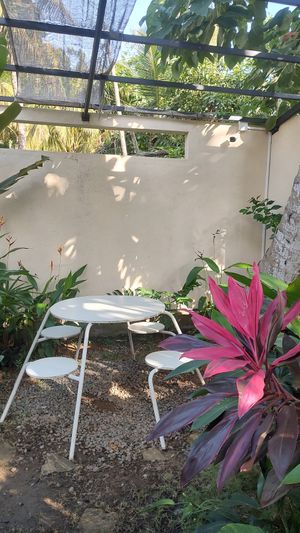  at Bunch in Hiriketiya