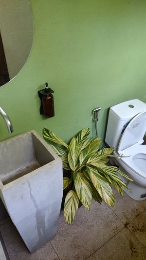 The ambience 🌱 at Bunch in Hiriketiya