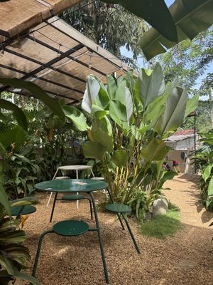 Lovely outdoor seating   at Bunch in Hiriketiya