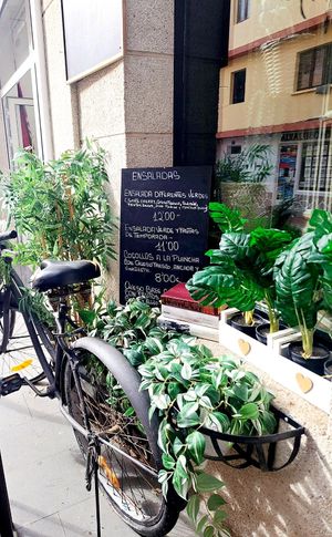  at Ana Alban Homenajes  in Fuerteventura