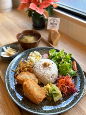 Lunch🌱 at PLANT-BASED CAFE ANDPON in Osaka