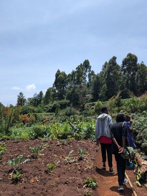 An hour long farm tour at Mlango Farm in Ngecha