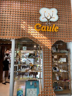  at Caule Ecológicos Cosméticos Naturais in Florianopolis