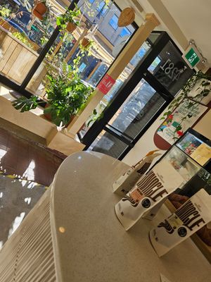  at Cass Cafe in Montreal