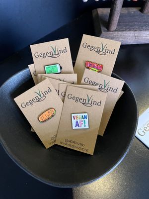 GegenVind Pins at GegenVind Café in Hamburg
