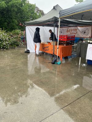 Coburg market stall at Better Now in Brunswick East