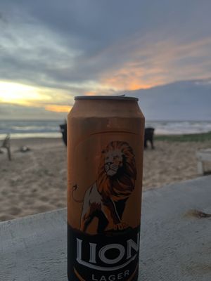 800 RS  at Green Cafe  in Hikkaduwa