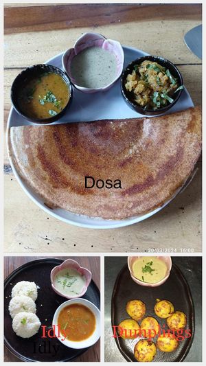  at Floating Lotus Indian Restobar in Koh Samui