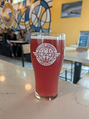 Raspberry Springer at Yellow Springs Brewery Taproom & Kitchen in Columbus
