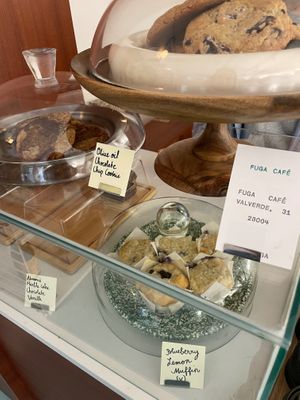  at Fuga Café in Madrid