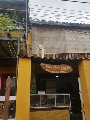 Shop front and cute dog on roof! at Quan Chay Dam in Hoi An