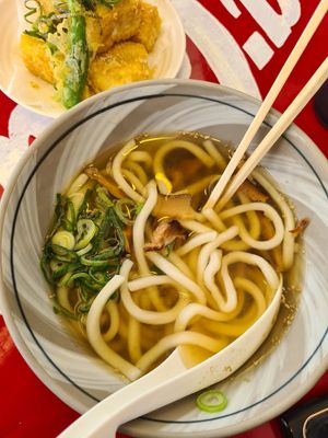 Hot soup udon noodles at Kasu Udon EBISUYA Main Store in Osaka