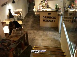 Looking Down from the Entrance at W Gruncie Rzeczy in Warsaw