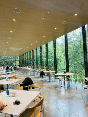 Interior  at The Whitworth Cafe in Manchester