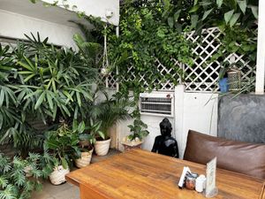 Green Theory - Outdoor seating atmosphere   at Green Theory in Bangalore