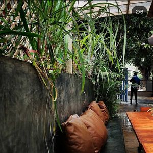  at Green Theory in Bangalore