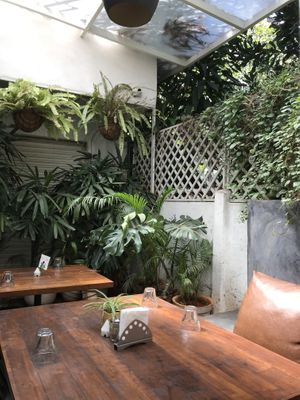 a tomo sphere at Green Theory in Bangalore