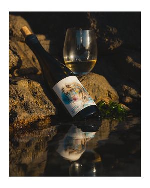Atlas Swift - Cape South Coast Chardonnay emerging from the ocean 
 at Atlas Swift in Franschhoek