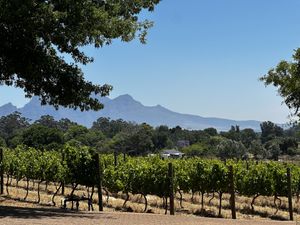   at Atlas Swift in Franschhoek