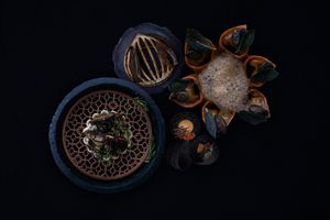 9-Course Purely Plant-Based Tasting Menu at OMNIA Plant-Based Restaurant in Kastelruth