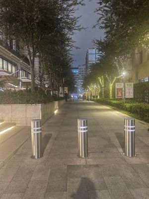 The walking road. Qingchunli will be found on your left   at Qingchunli in Hangzhou