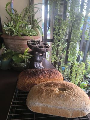  at Home No. 8 in Krabi