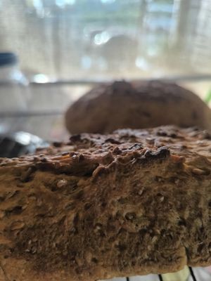  at Home No. 8 in Krabi