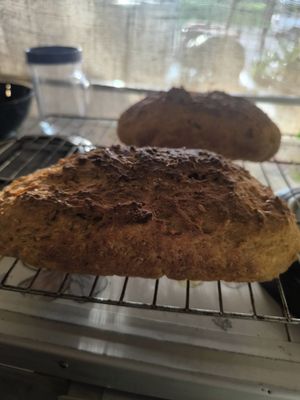  at Home No. 8 in Krabi