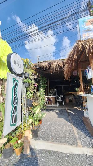  at Home No. 8 in Krabi