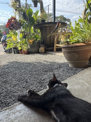   at Home No. 8 in Krabi