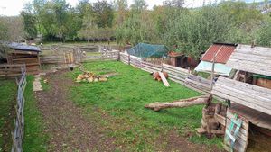 part of the sanctuary at Lebenshof Tierlieben in Ammerbuch
