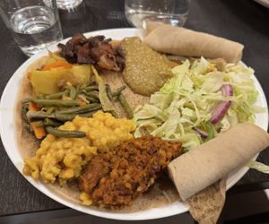   at Sefed in Montpellier