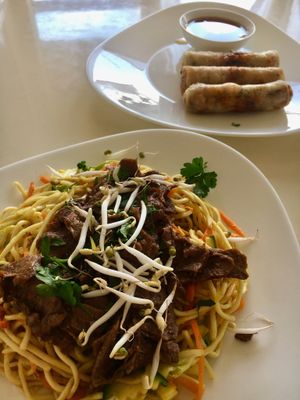 Noodles with soy meat, and some spring rolls. So yum!!  at Loving Hut - Warynskiego in Warsaw