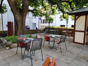 Outdoor mood - under a marvellous tree at Sama in Zofingen