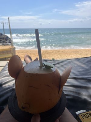 King coconut  at Bara Beach in Boossa