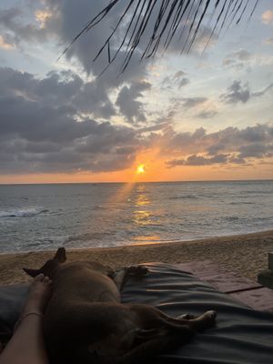 Sunset with local dogs hanging around😄 at Bara Beach in Boossa