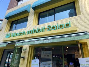Storefront   at March Rabbit - Gang-nam gu - 마치 래빗 in Seoul