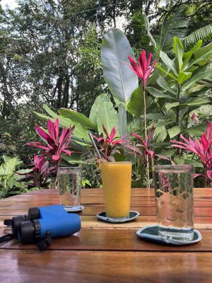 very nice garden next to the creek and forest  at Café Vivo in Uvita