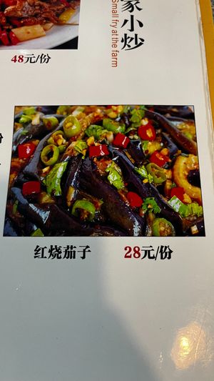 Fried eggplant and long bean (红烧茄子) at Yu Long He Restaurant - 阳朔县金囍汇私房菜, 遇龙河店 in Guilin